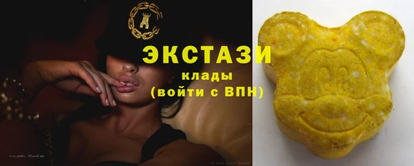 сатива Аркадак
