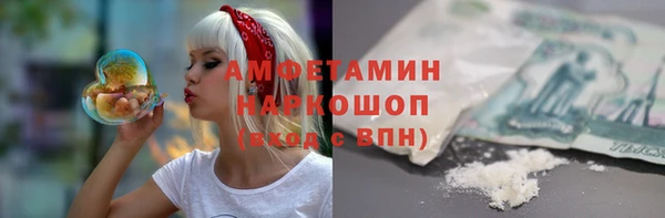 сатива Аркадак