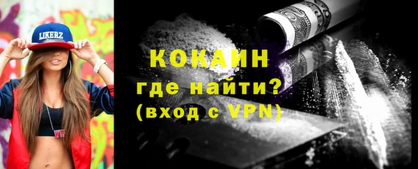 сатива Аркадак