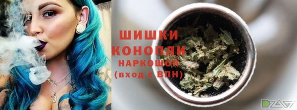 сатива Аркадак
