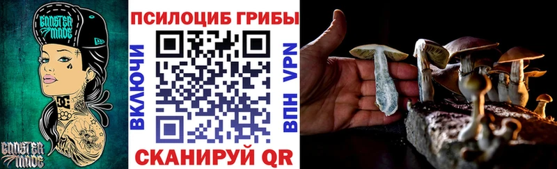 Купить  Барабинск  Псилоцибиновые грибы Cubensis 